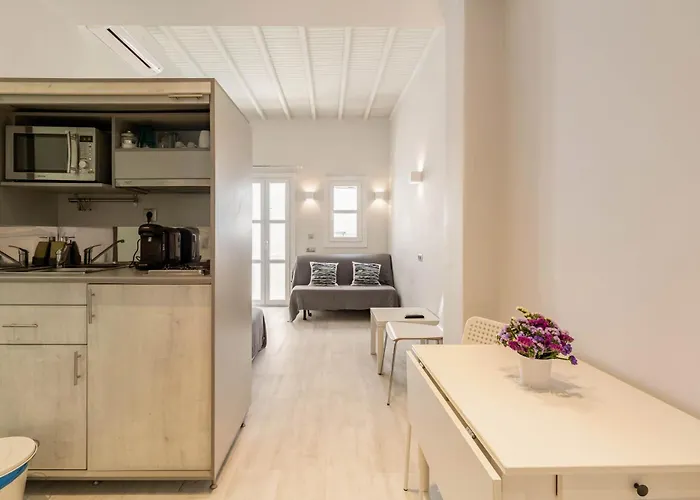 Elenitas Flat Next To The Windmills Appartement Mykonos Town